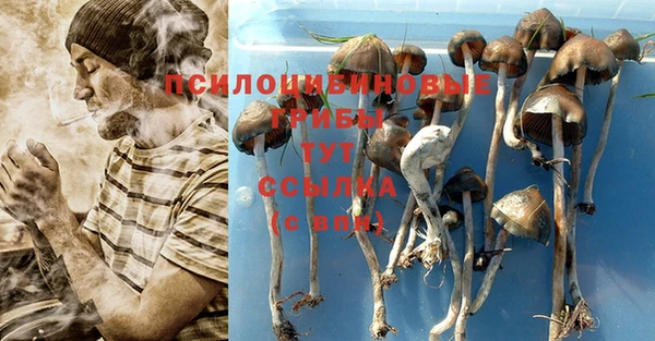 ешки Балахна