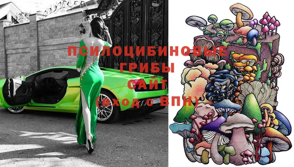 ешки Балахна